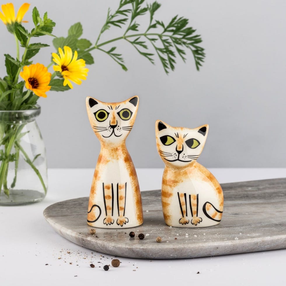 Ginger Cat Salt & Pepper Shakers Ginger Cat Salt & Pepper Shakers