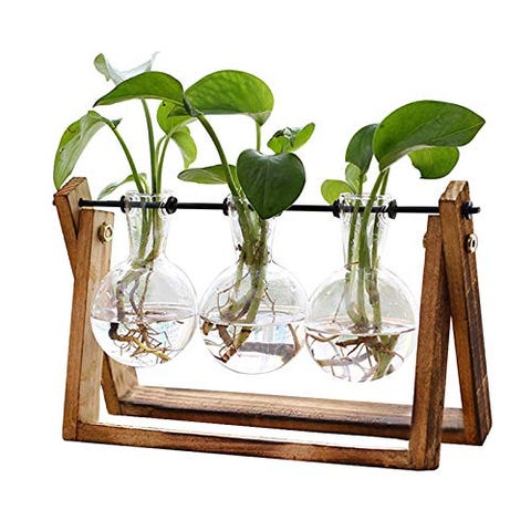 45 Best Gifts For Plant Lovers On Amazon And More In 2022