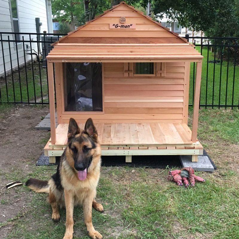 Exterior 2024 dog house