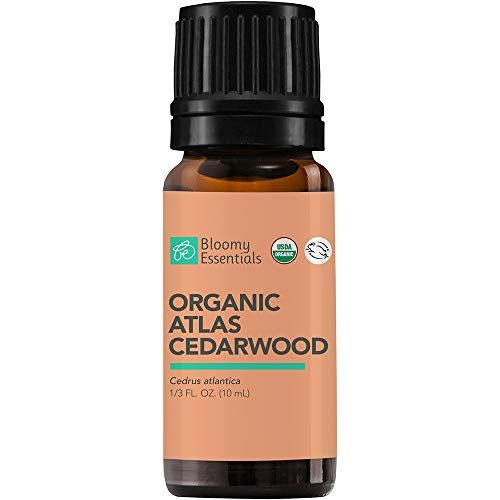Herbal Choice Mari Organic Cedar Wood Essential Oil; 0.3floz Glass –  Nature's Brands