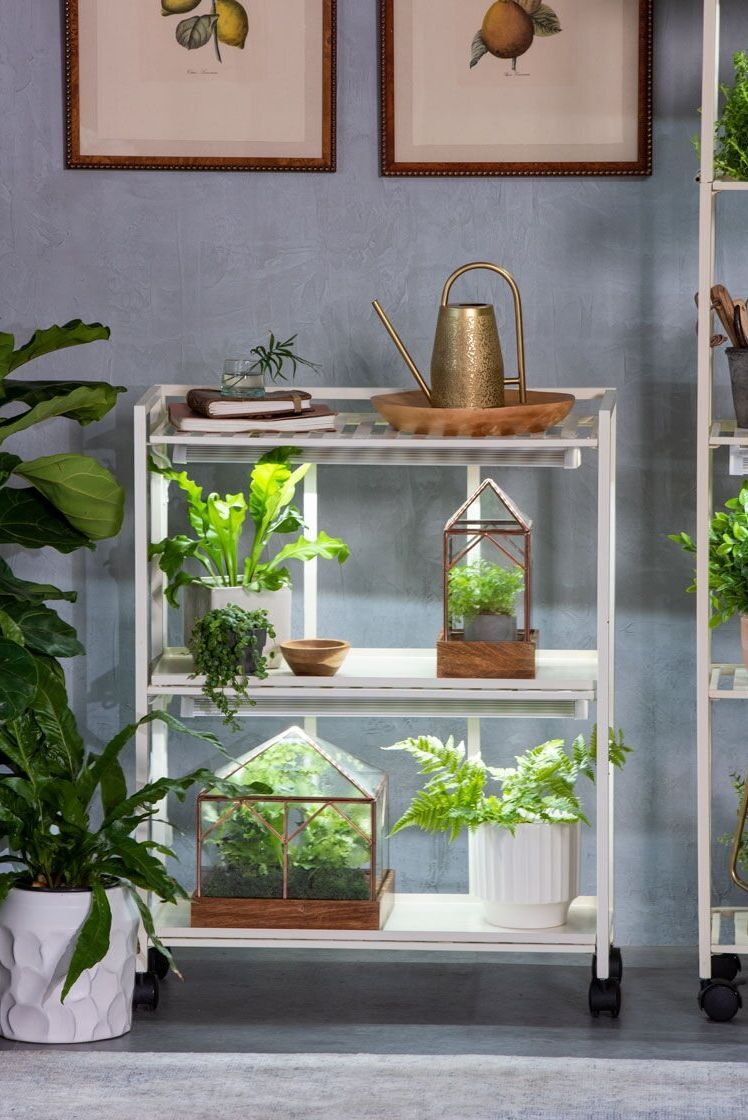 13 of the Best Grow Lights for Indoor Gardens