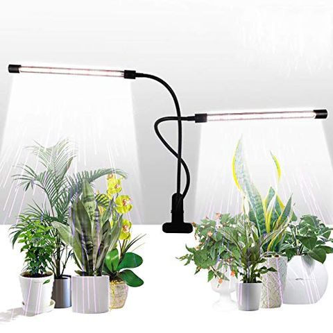 14 Best Grow Lights For Indoor Plants, Plant Grow Floor Lamp Canada