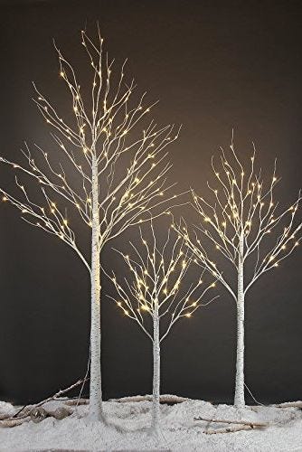 https://hips.hearstapps.com/vader-prod.s3.amazonaws.com/1636577154-outdoor-christmas-light-ideas-trees-1636577144.jpg?crop=0.998003992015968xw:1xh;center,top&resize=980:*