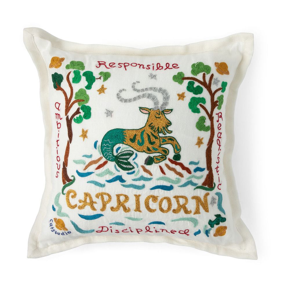 Hand Embroidered Astrology Pillows