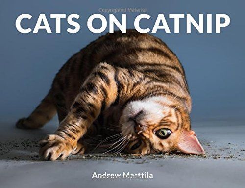 Cats on Catnip Book