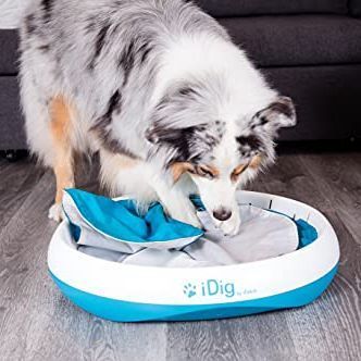 Buy iFetch iDig Digging Toy for Dogs - Stay online Worldwide