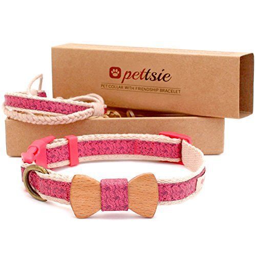 Matching Dog Collar & Owner Friendship Bracelet