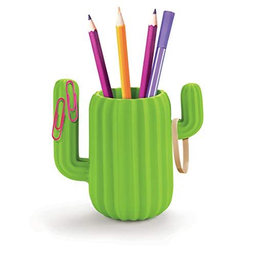 Un cactus para el escritorio