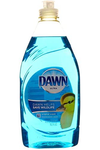 16-ounce Dawn Dish Soap
