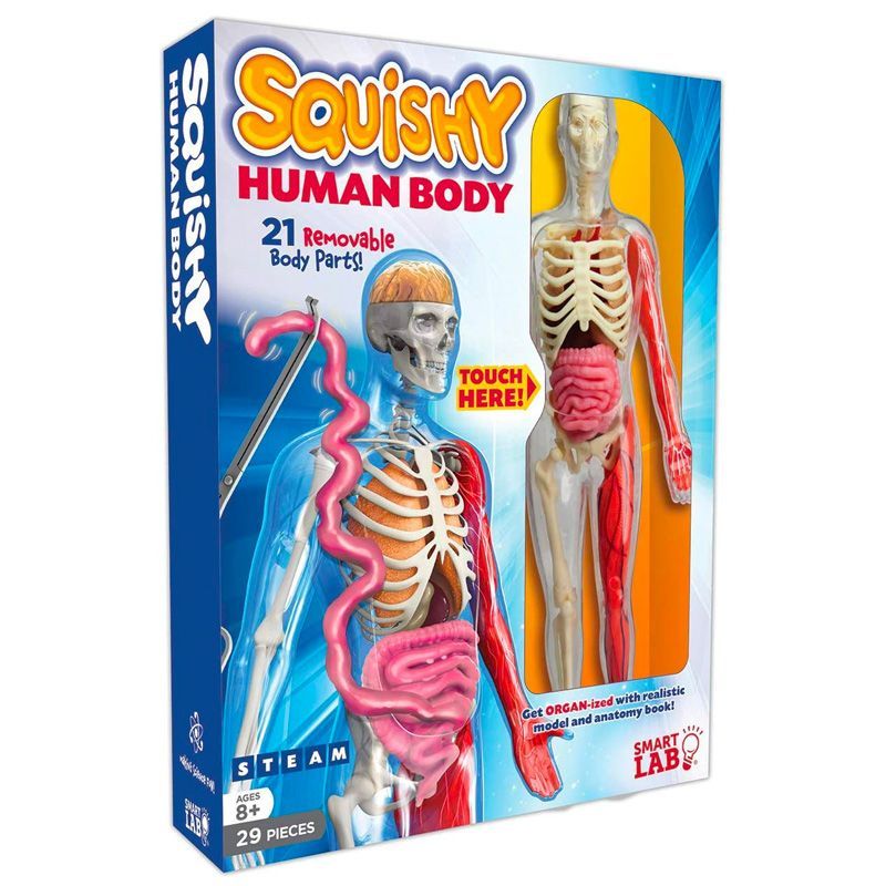 Educational science hot sale toys