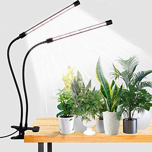 LED Grow Lights: The Best System for Indoor Plants