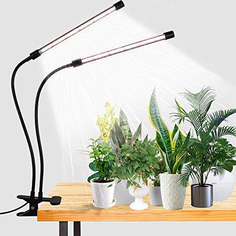 Best Grow Lights For Indoor Plants, Natural Sun Lamp For Plants