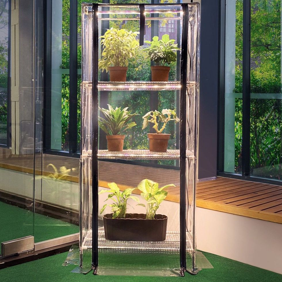 Mini-Greenhouse with Grow Lights
