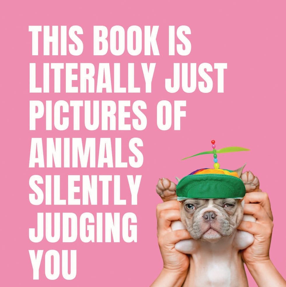 <i>This Book Is Literally Just Pictures of Animals Silently Judging You</i>
