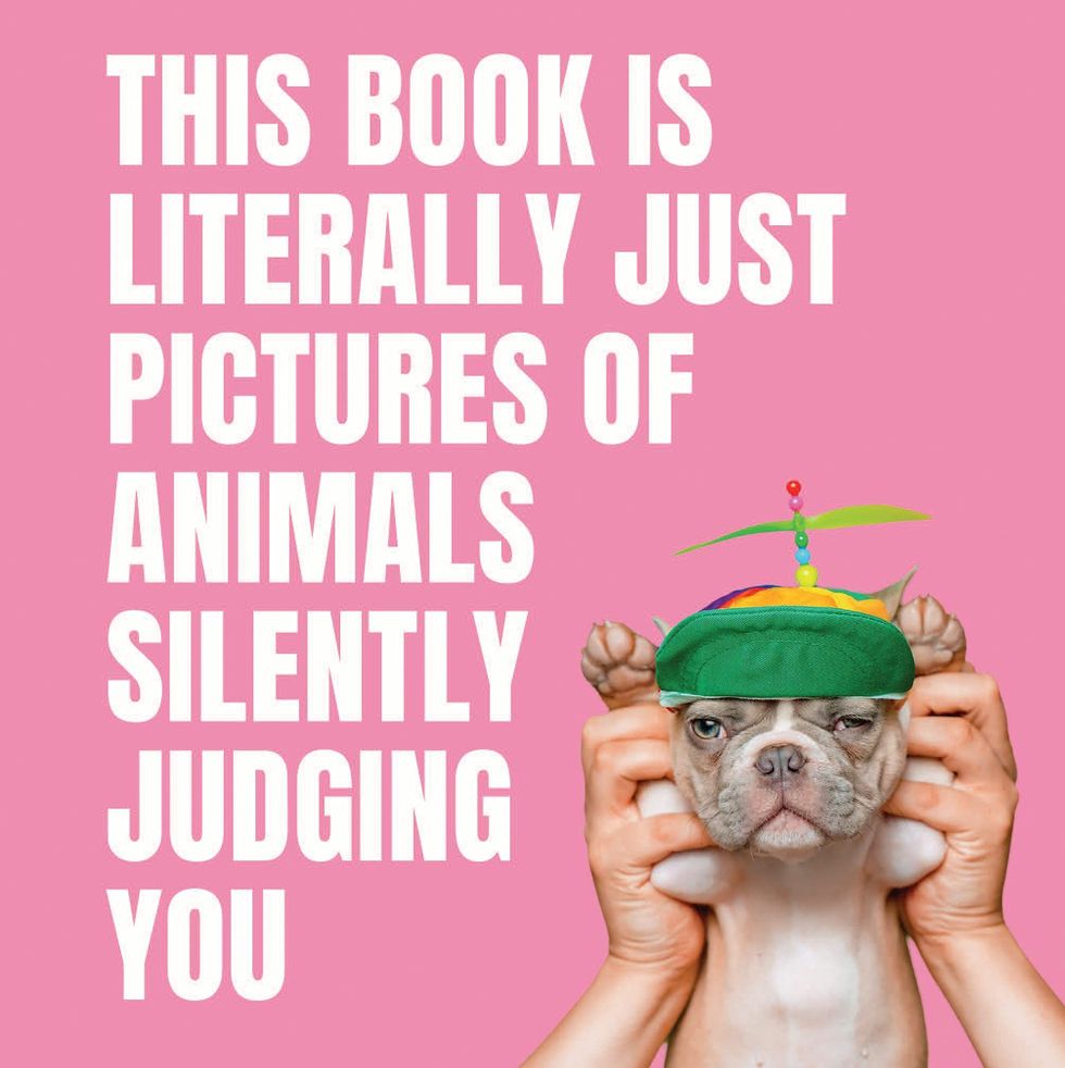 <i>This Book Is Literally Just Pictures of Animals Silently Judging You</i>