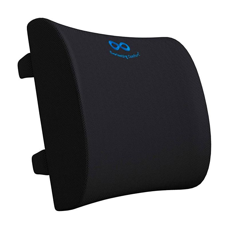 Best Back Support Cushion 2022