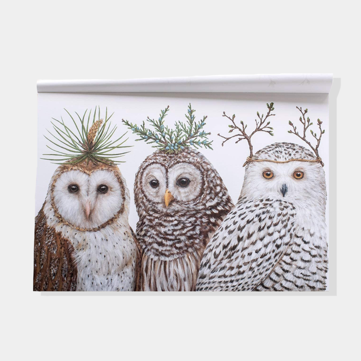 Winter Owls Placemats