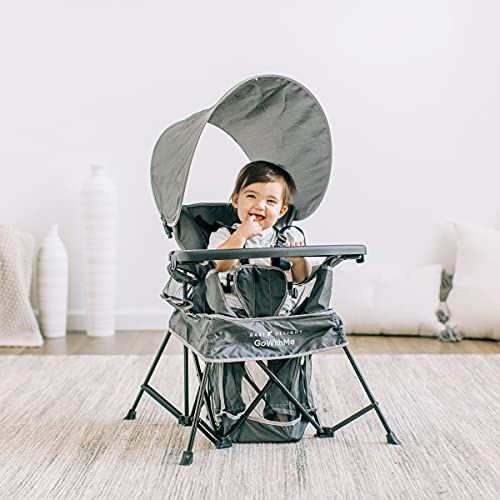Baby Delight Go with Me Venture Chair