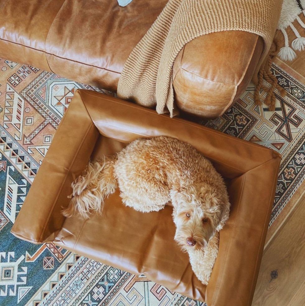 Custom Dog Couch 