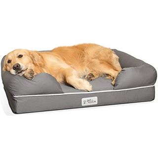 big dog bed