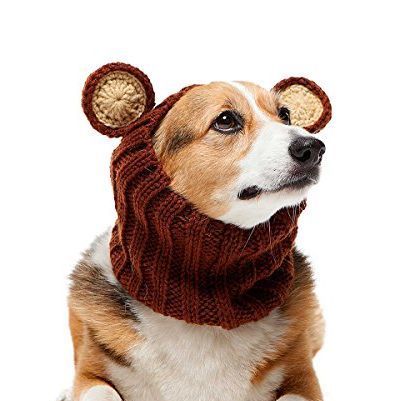 Best Christmas presents for dogs