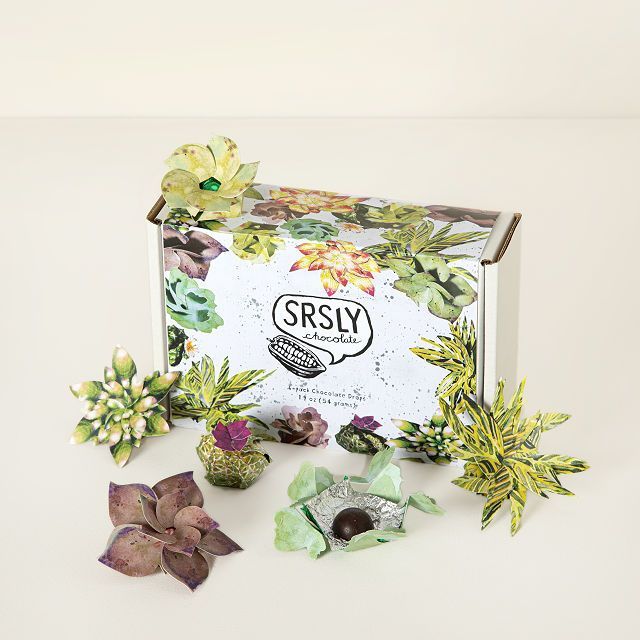 Succulent Chocolate Gift Set
