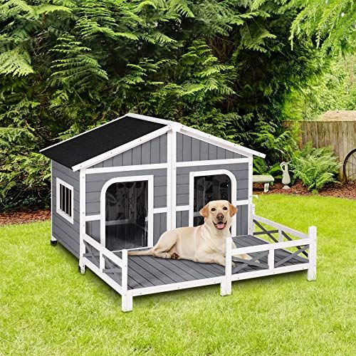 what is the best dog house