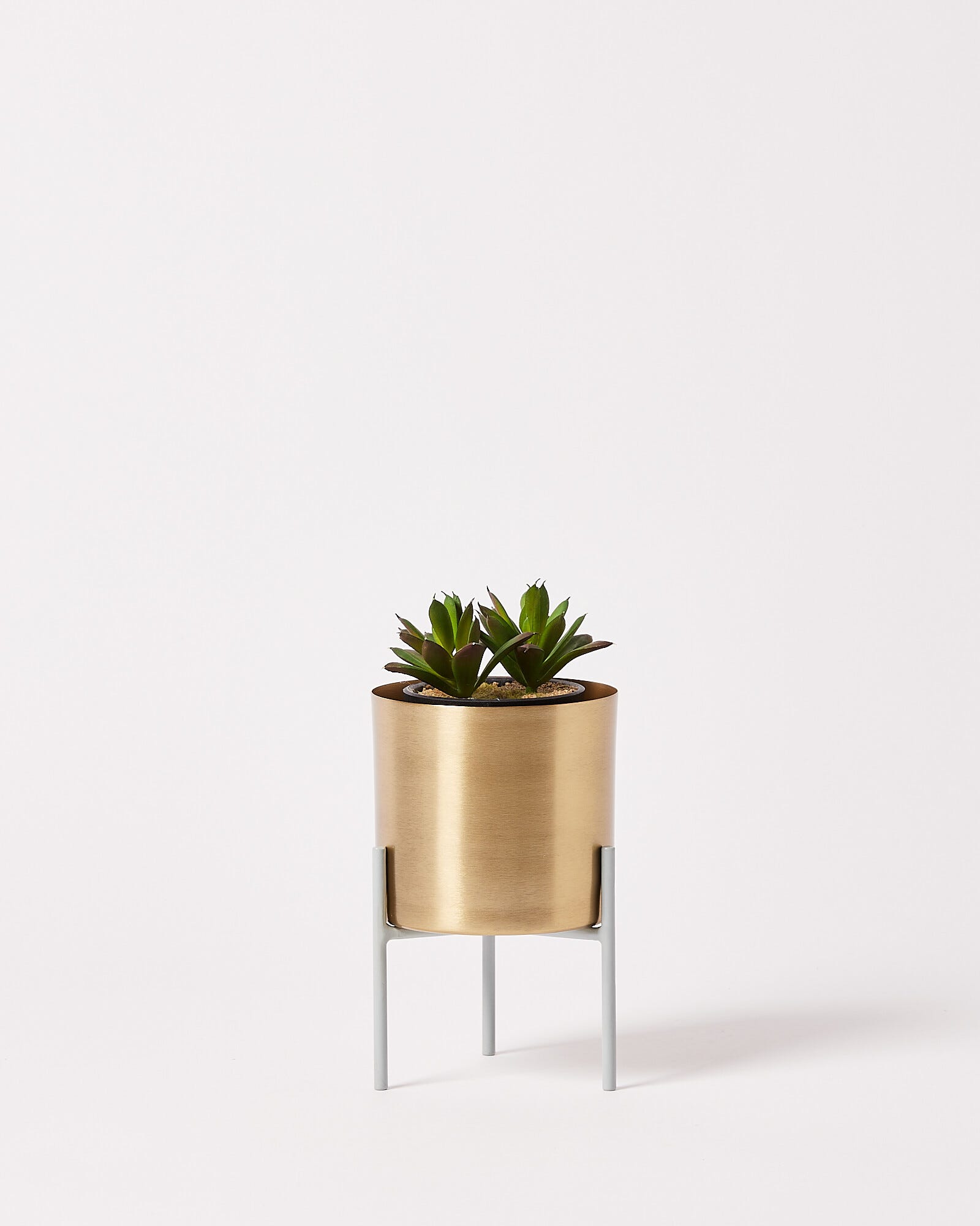 Iggy Gold Metal Plant Pot