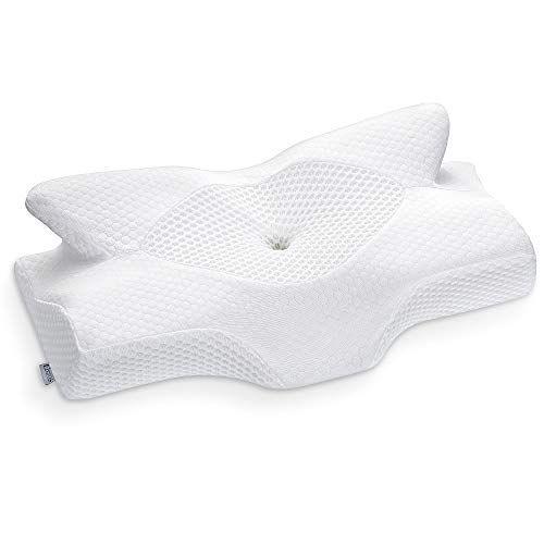 Elviros Lumbar Support Pillow for Sleeping, Adjustable Memory Foam Lumbar  Pillow for Lower Back Pain Relief, Ergonomic Back Support Cushion Pillow  for Bed, Office Chair, Recliners