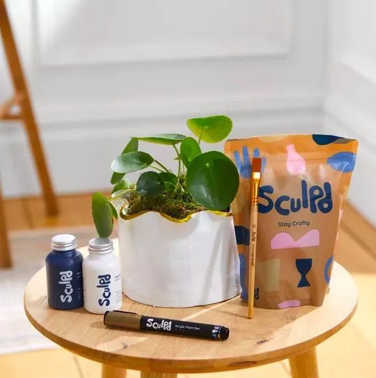 The Chinese Money Plant & Sculpd Kit
