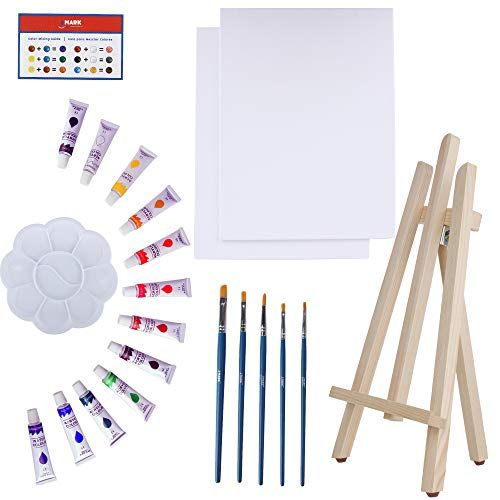 Art Canvas Paint Set Supplies 