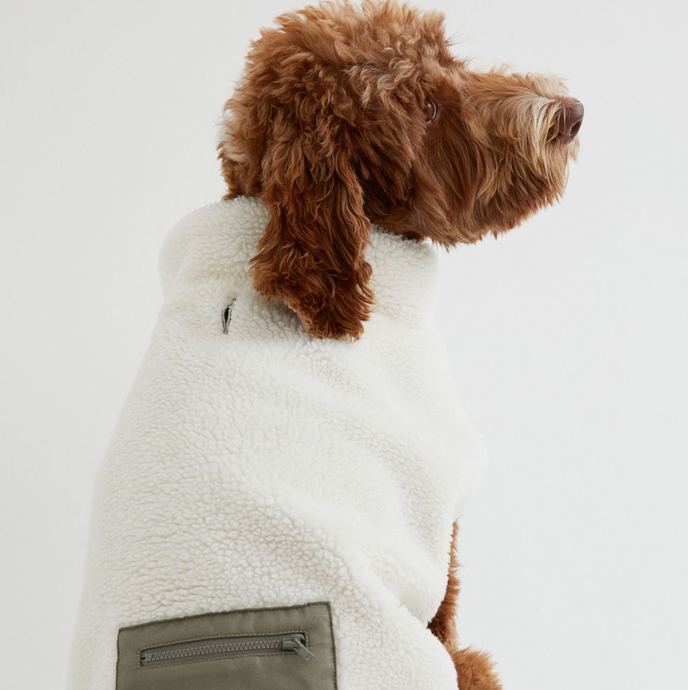 Pocket-detail faux shearling dog jacket