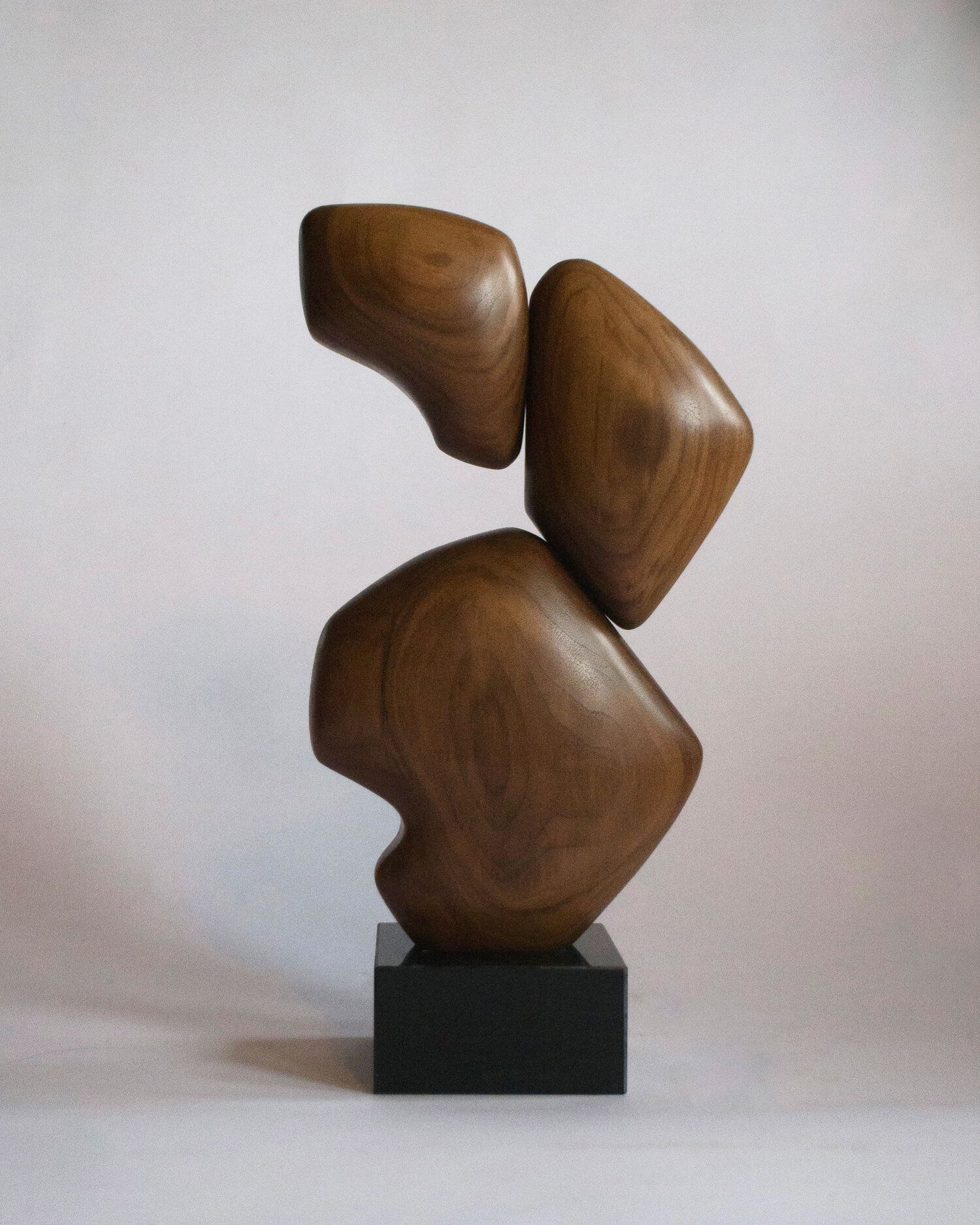 "Nautilus" A Wooden Sculpture