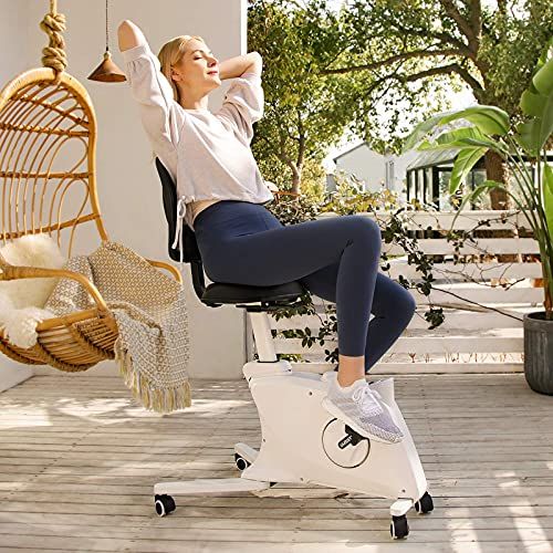 Flexispot Sit2Go Desk Chair Fitness Chair