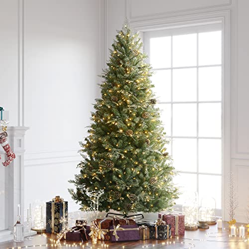 Christmas Tree Shortage 2021 | Christmas Tree Price Increase