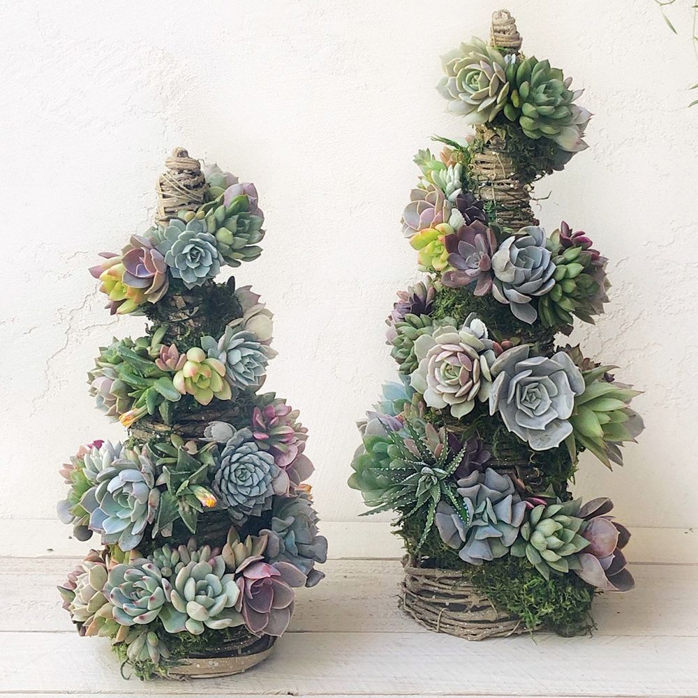 Succulent Christmas Tree With Shimmering Grapevine