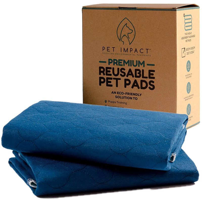 Best pee clearance pad for dogs