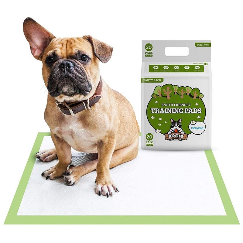 what are the best puppy pee pads