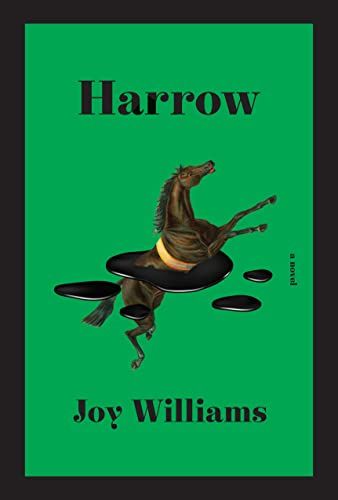 <em>Harrow</em>, by Joy Williams