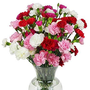 Rainbow Mini Carnations
