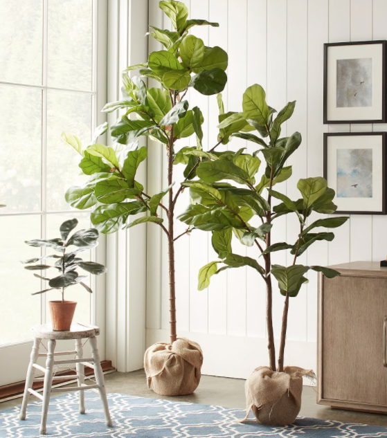 Faux Potted Fiddle Leaf Fig