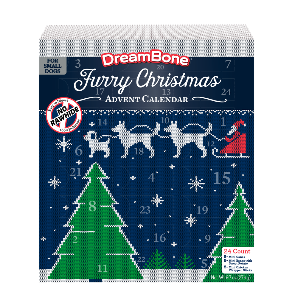 DreamBone Holiday Advent Calendar