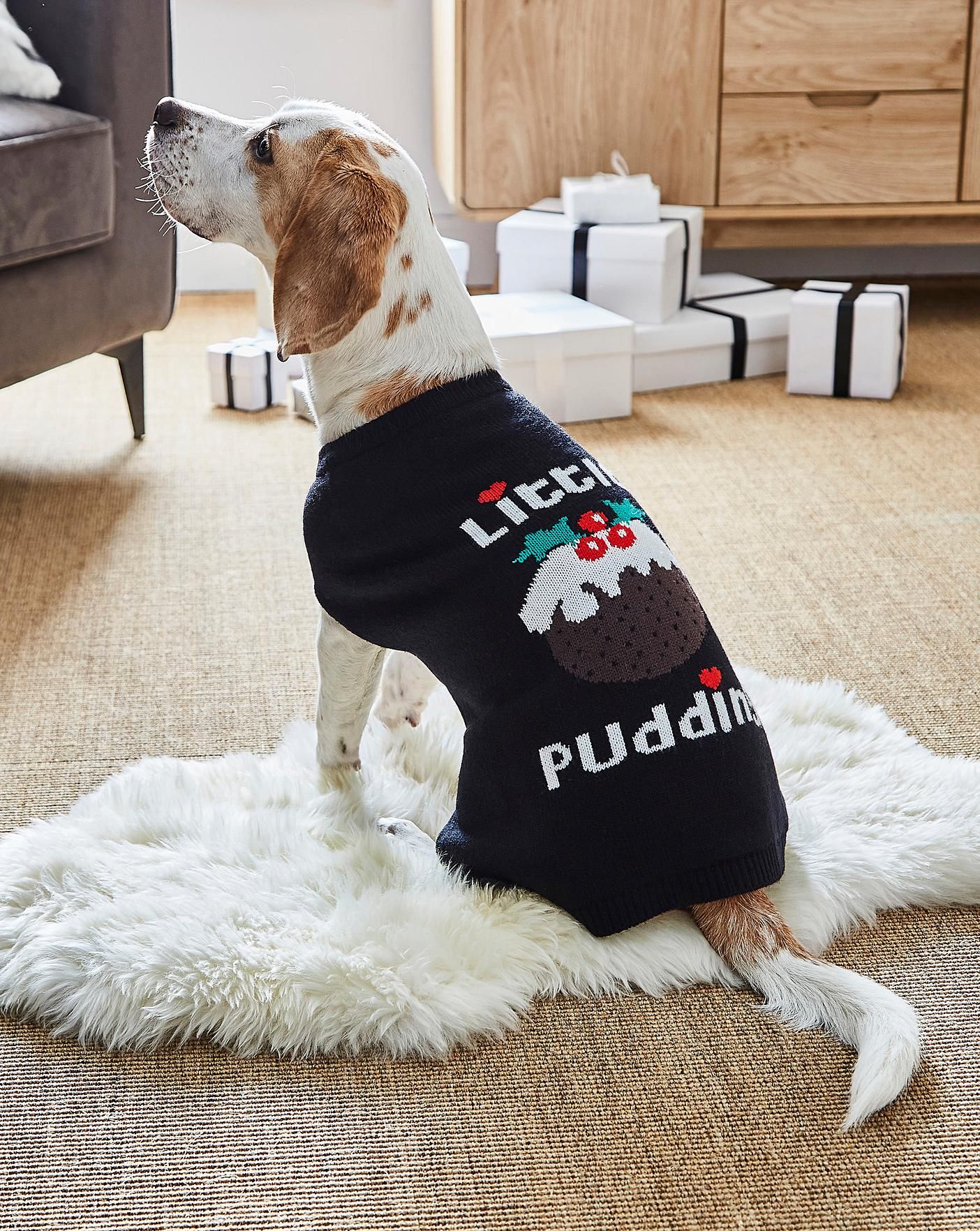 Matching jumper with outlet dog