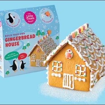 Build Your Own Gingerbread House, Amazon