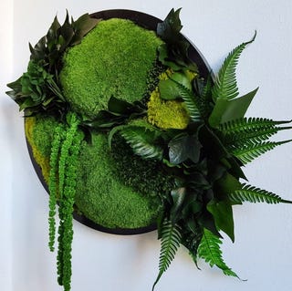 Preserved Moss Wall Art