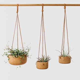 Hanging Cork Planter