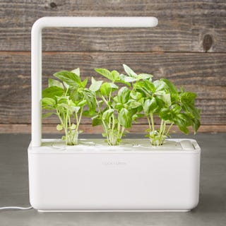 Click and Grow Herb Garden