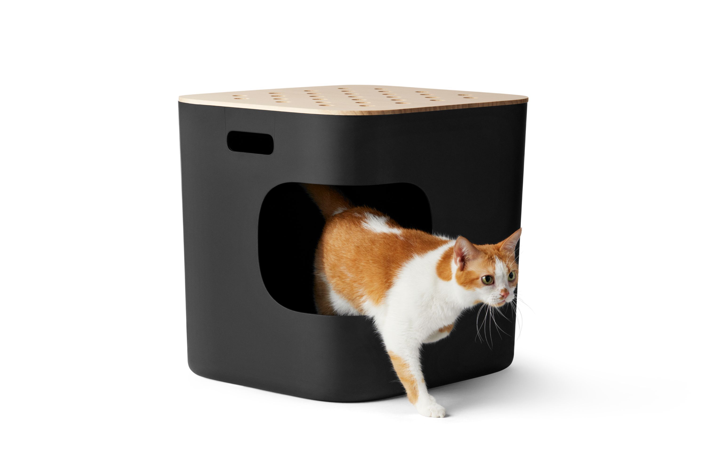 Best automatic cat litter box outlet 2019