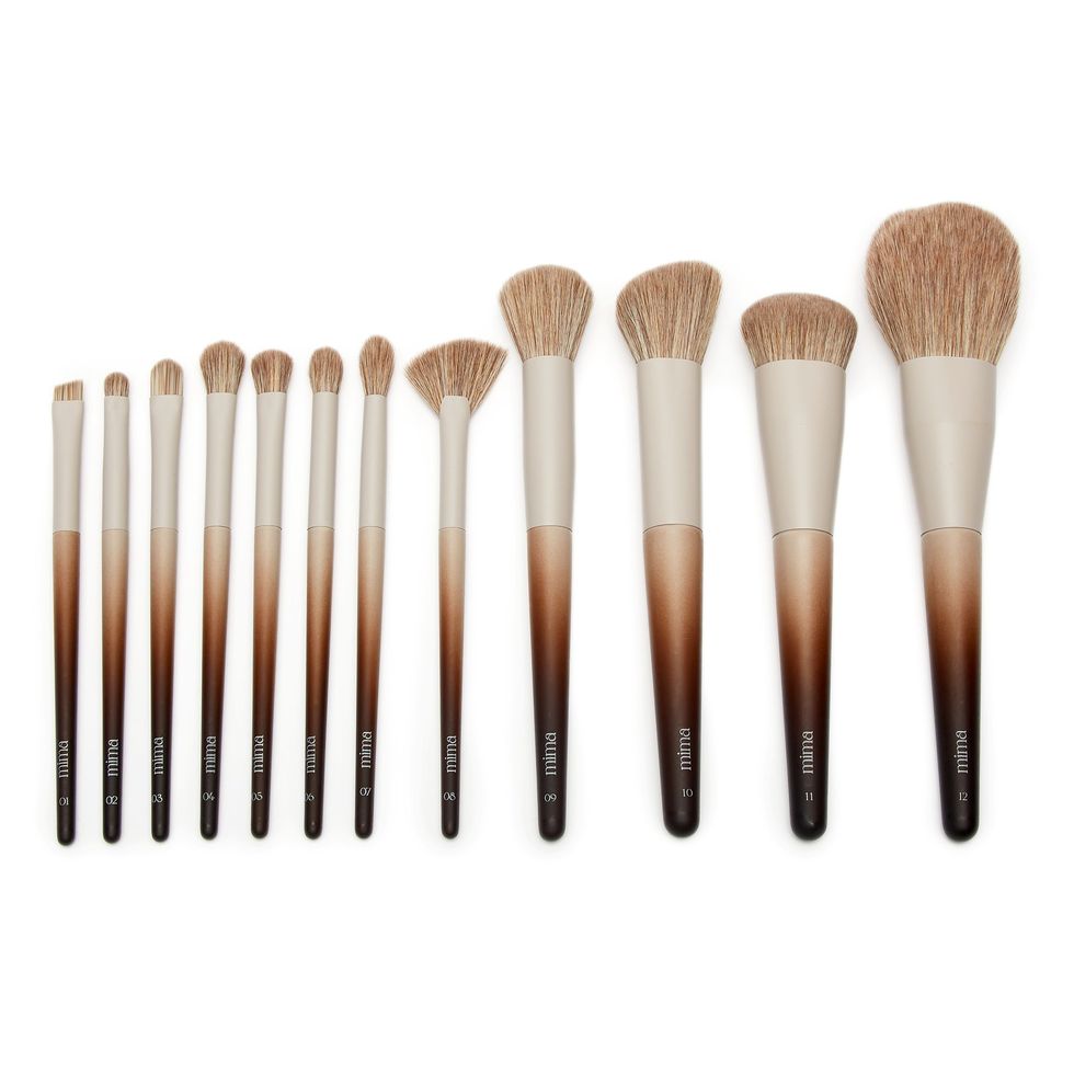 The Essential 12 Piece Brush Collection