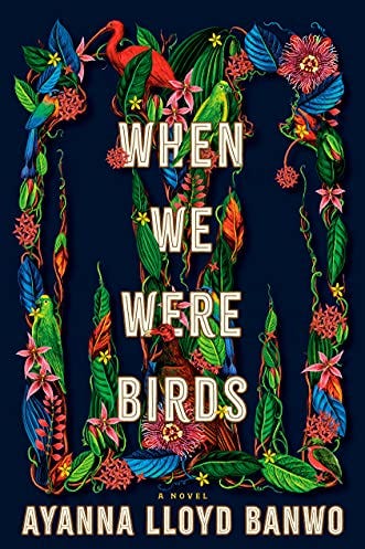 When We Were Birds by Ayanna Lloyd Banwo When We Were Birds by Ayanna Lloyd Banwo